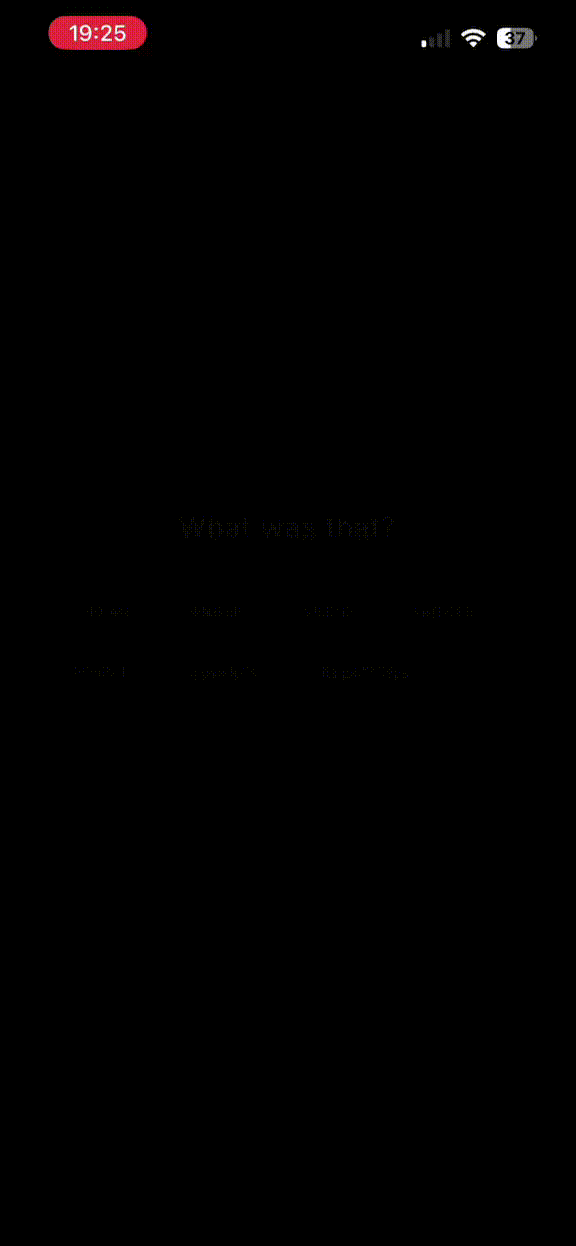 VOID App Screen Recording